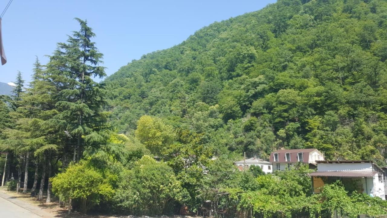 Guest House Gorny Ruchei Gagry Exterior photo
