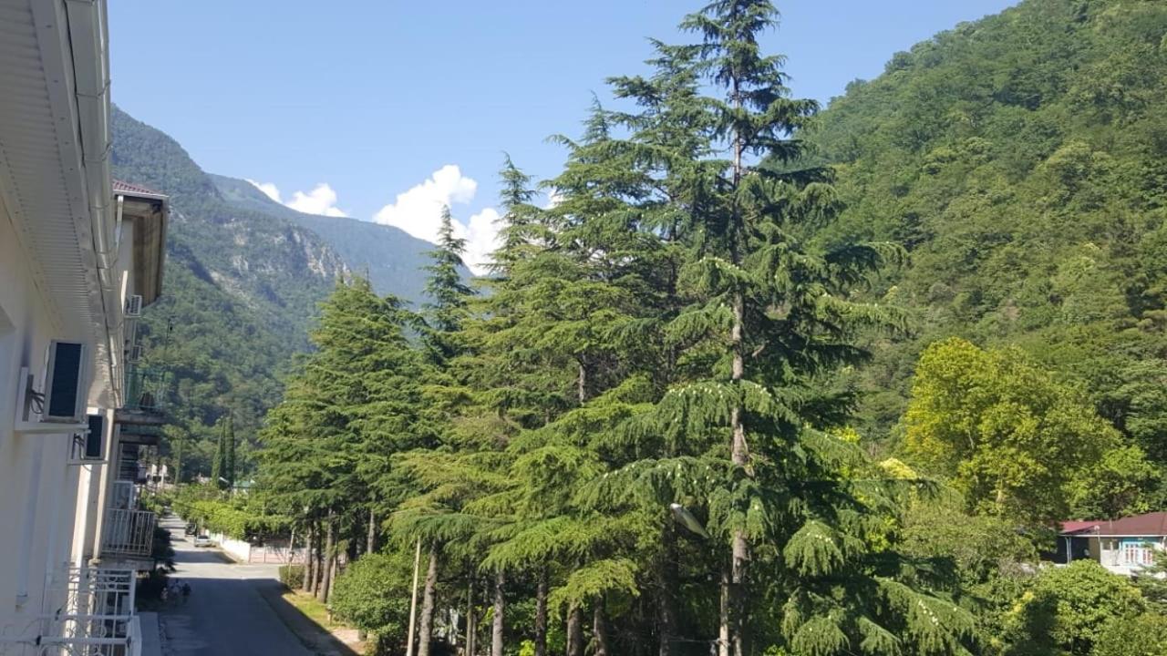 Guest House Gorny Ruchei Gagry Exterior photo